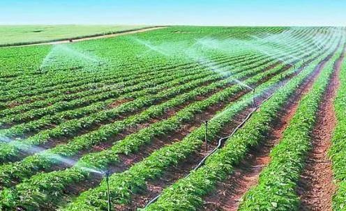 好操在线视频观看农田高 效节水灌溉